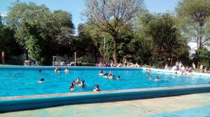 12506805_945112992229957_1337906373_n