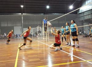 d37c2d23-7c69-44ba-a70a-0b855fbaa792