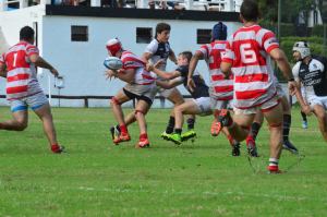 12941167_752942374841014_109792825_o