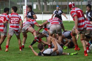 12952951_752942451507673_816075011_o