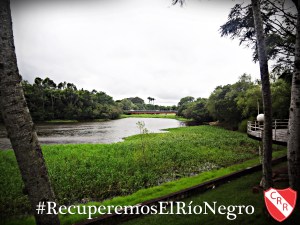 afip noviembre 2010 027 (1)