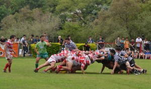 ????????????????????????????????????